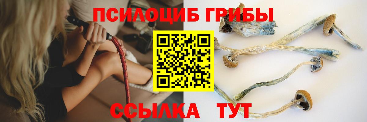 Галлюциногенные грибы GOLDEN TEACHER Скопин